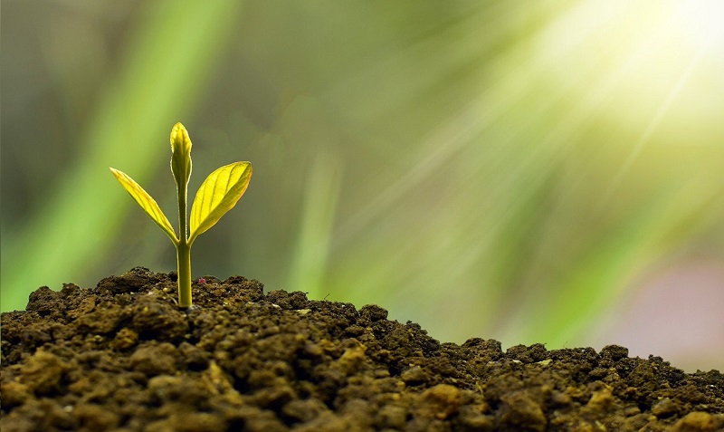 circular economy italia