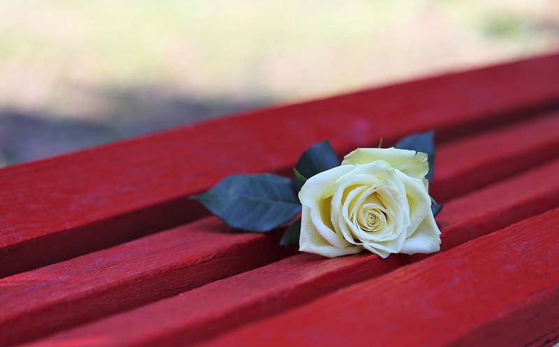 contrasto violenza genere bando