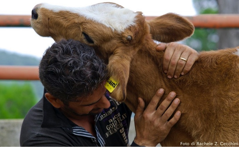 copertina foto Rachele Z. Cecchini