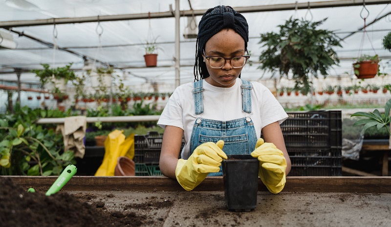 donne e sostenibilita istat
