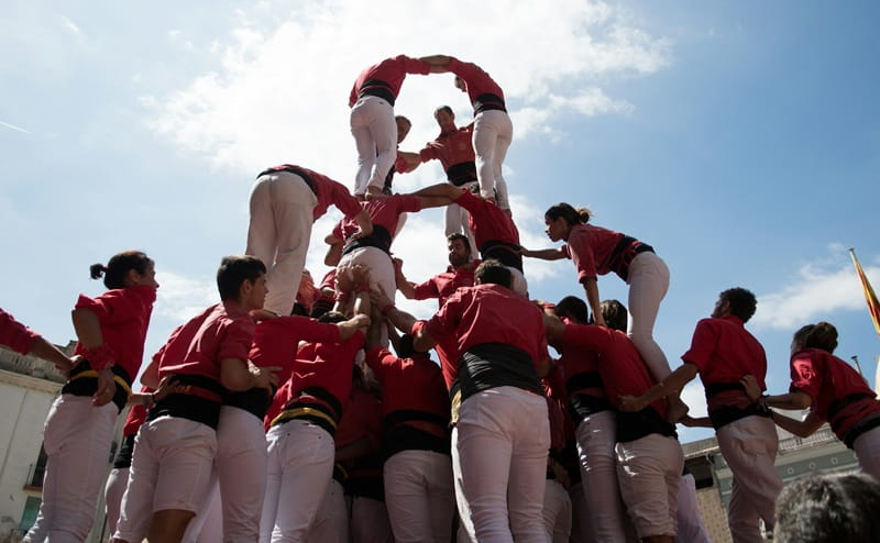 Economia sociale: dati, politiche e prospettive per lo sviluppo dell’Italia 