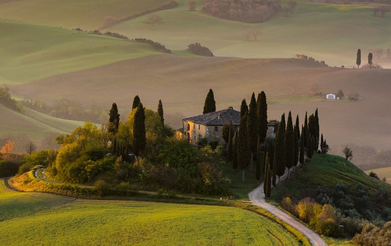 ecosistemi culturali