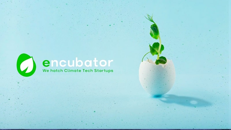 encubator 2022