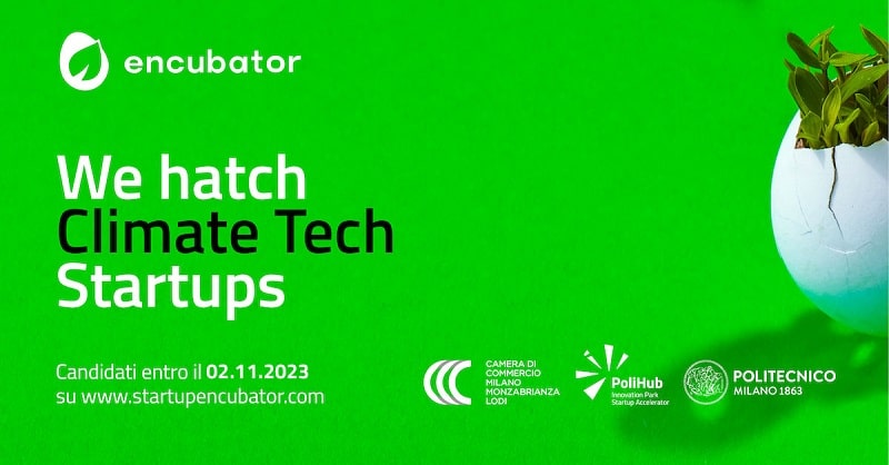 encubator 2023 grafica