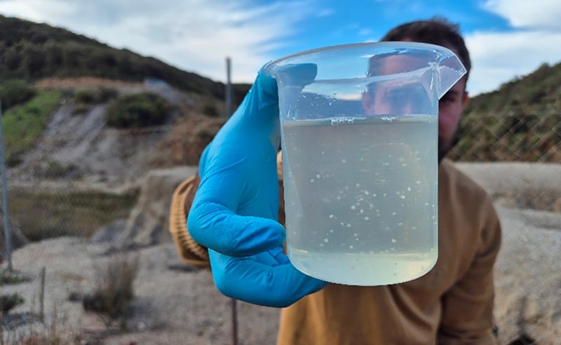 Batteri "buoni" e piante autoctone per rigenerare i suoli inquinati: il progetto RETURN