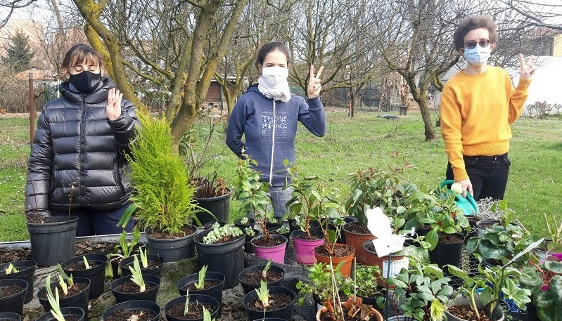 fiori all occhiello la comune