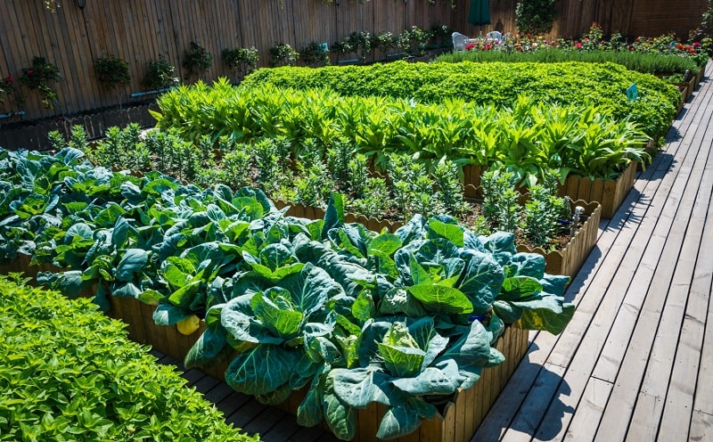 food trails 2022 milano