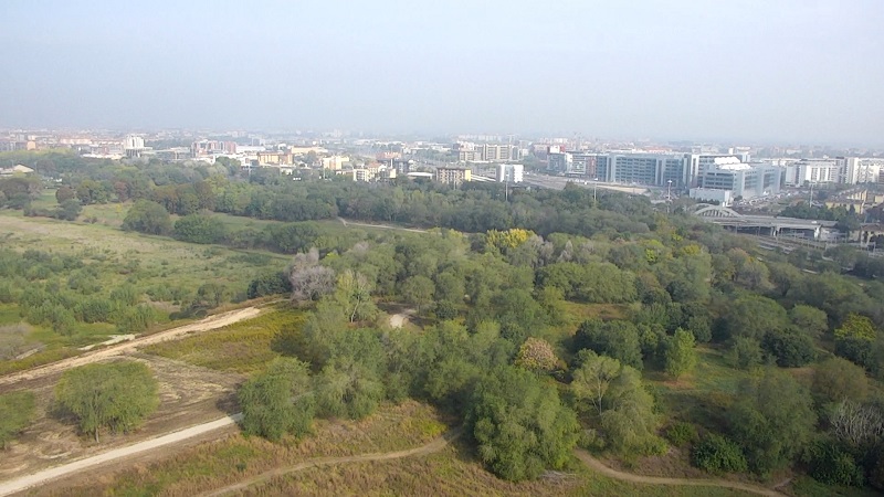 formamentis rogoredo