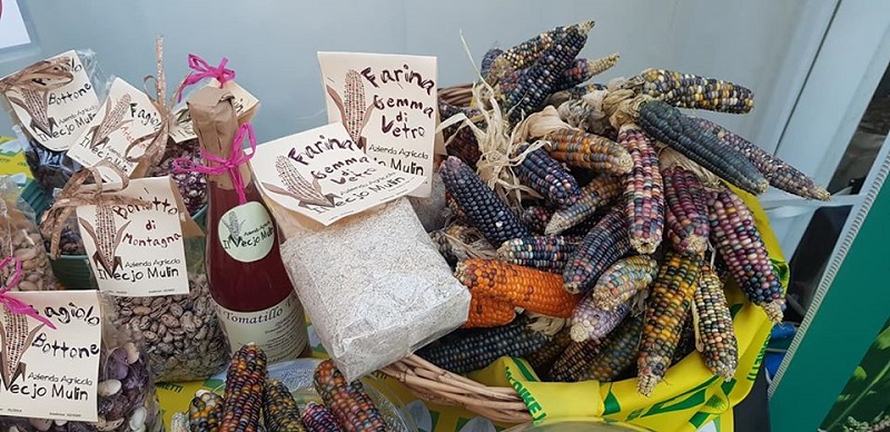gemma di vetro