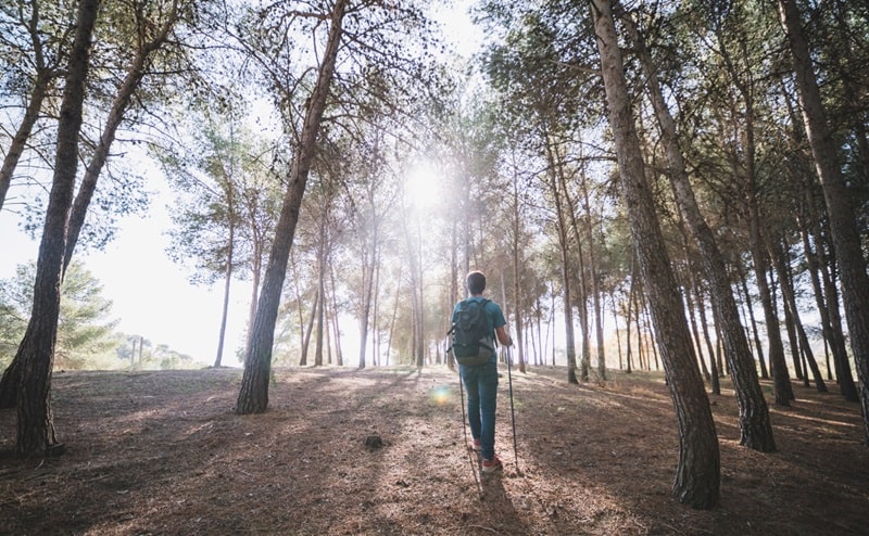 Giubileo 2025: la Regione Lazio sostiene i Comuni per migliorare l'accoglienza dei pellegrini 