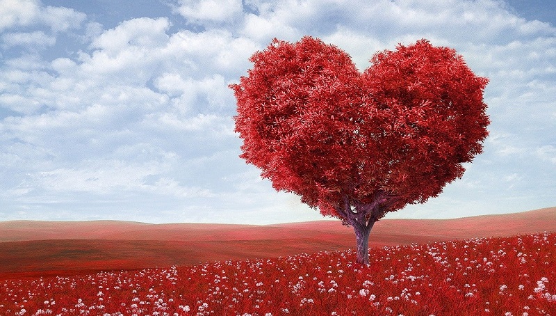 giving tuesday now copertina