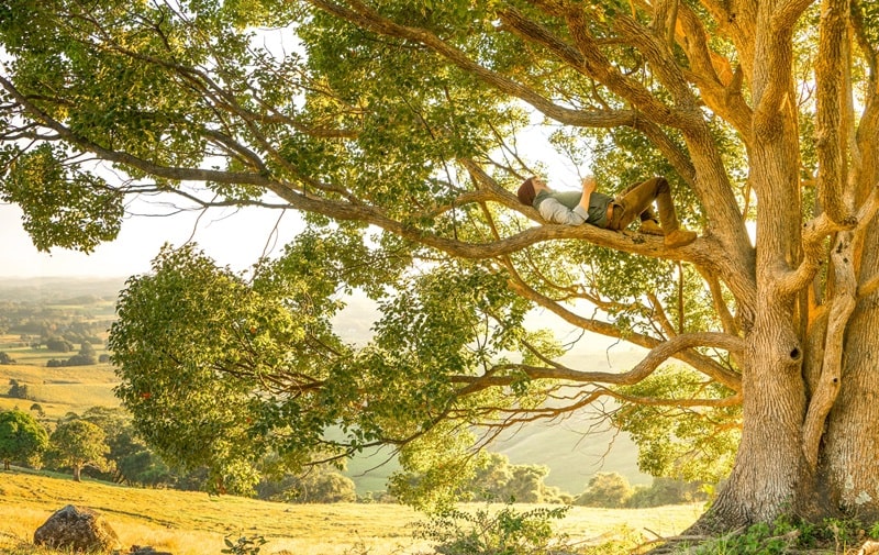 greenitaly 2023 copertina