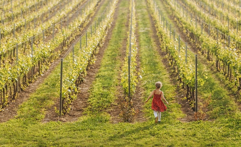 indagine sostenibilità symbola ipsos 2023