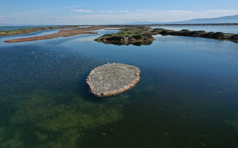 isolotto ph Andrea Liverani