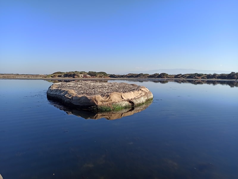 isolotto ph NieddittasMEDSEA