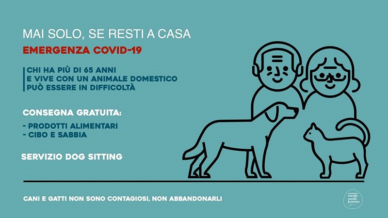 jesurum dogsitter grafica