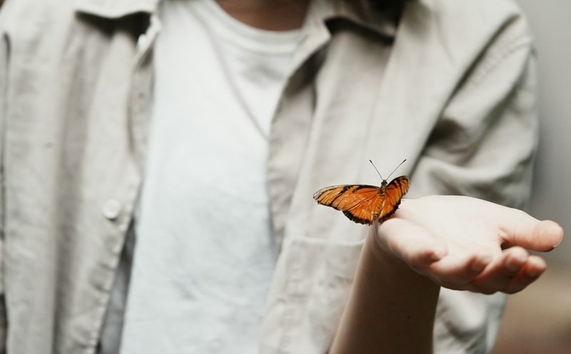 UpSkilling: il programma che forma i nuovi leader della biodiversità 