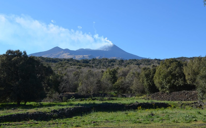 Call for Artists per il progetto Matre Terra: trasformare i rifiuti in arte e bellezza