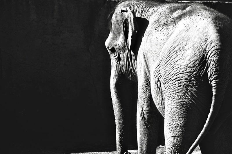 misurare intangibile dialogicalab foto 3