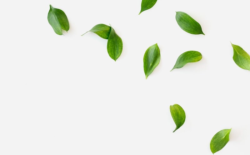 misurare sostenibilita ispra 2023