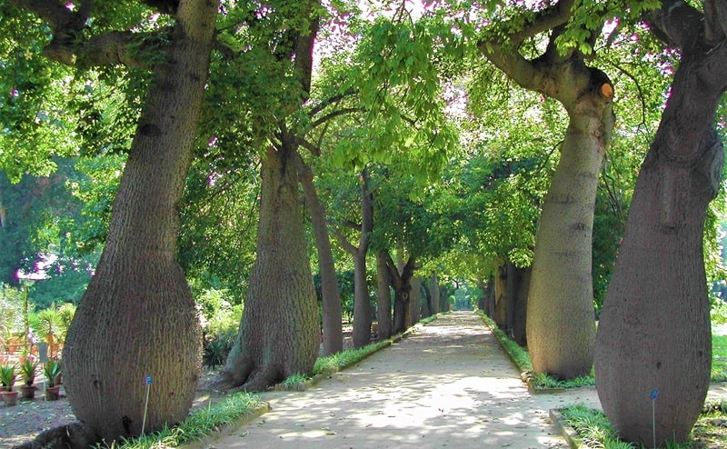 Torna "Oltre il Giardino", il corso professionale gratuito per la valorizzazione dei parchi storici