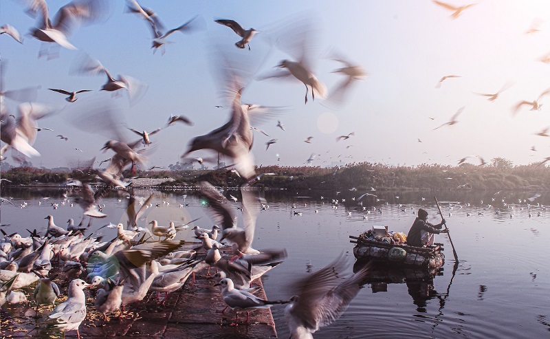 ortometraggi copertina