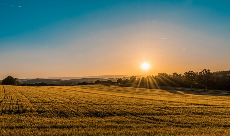 Parco Agrisolare: il nuovo bando per le imprese agricole del Sud 