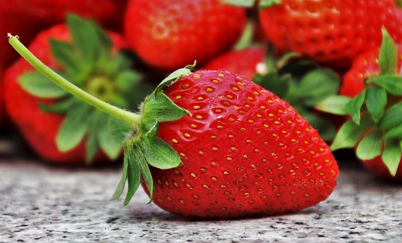 pellicola alimenti enea 2022