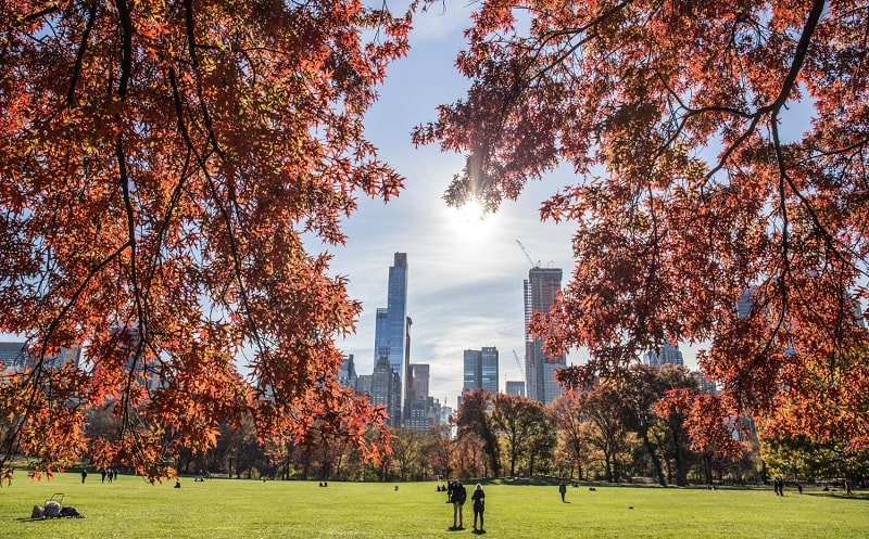 planet foundamentals copertina 2023