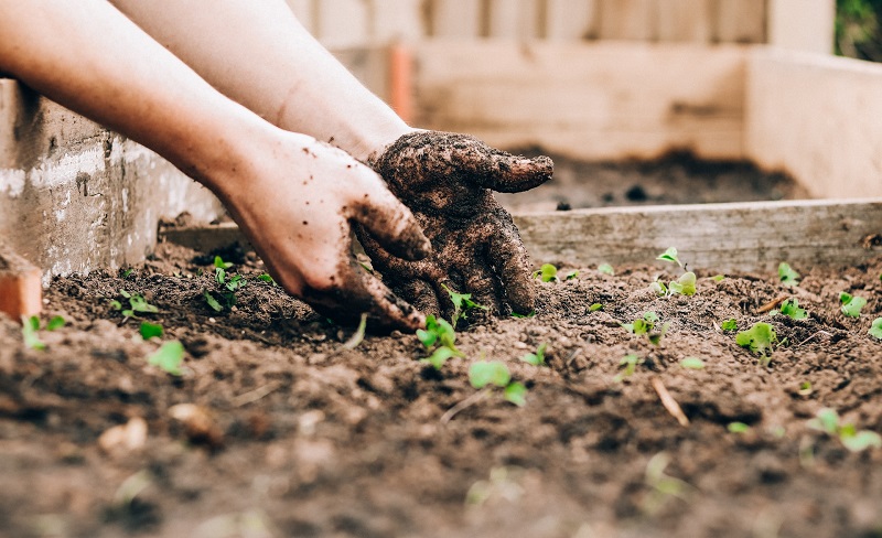 pon orti didattici bando