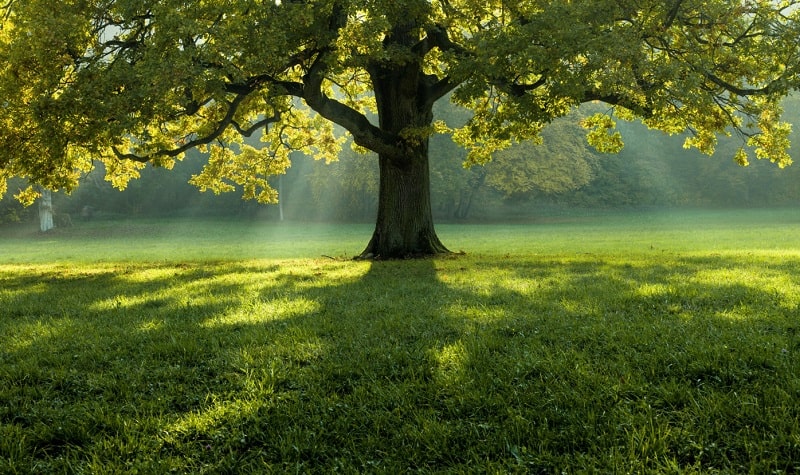 premio innovazione legambiente 2023 proroga