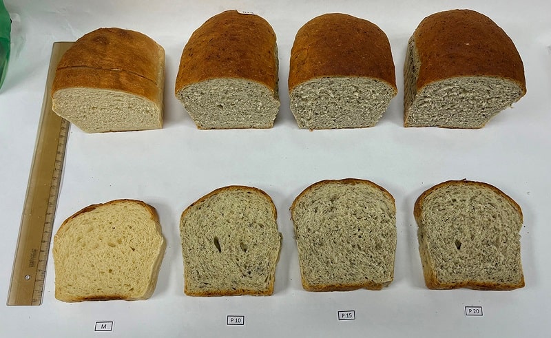 primi campioni di pane