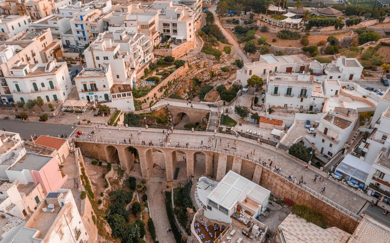 puglia capitale sociale