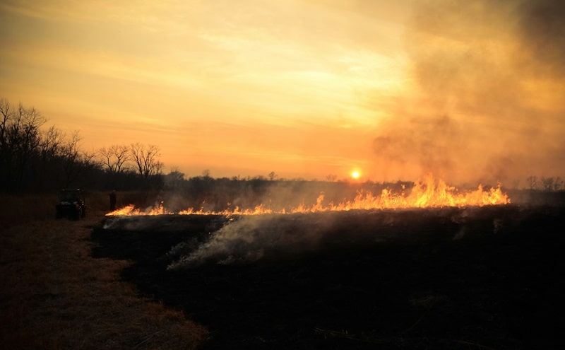 Ecomafia 2024: storie e numeri della criminalità ambientale in Italia