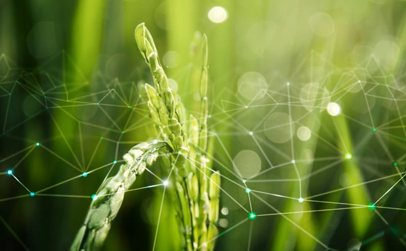 La bioeconomia per la crescita e la resilienza: Italia tra i leader europei