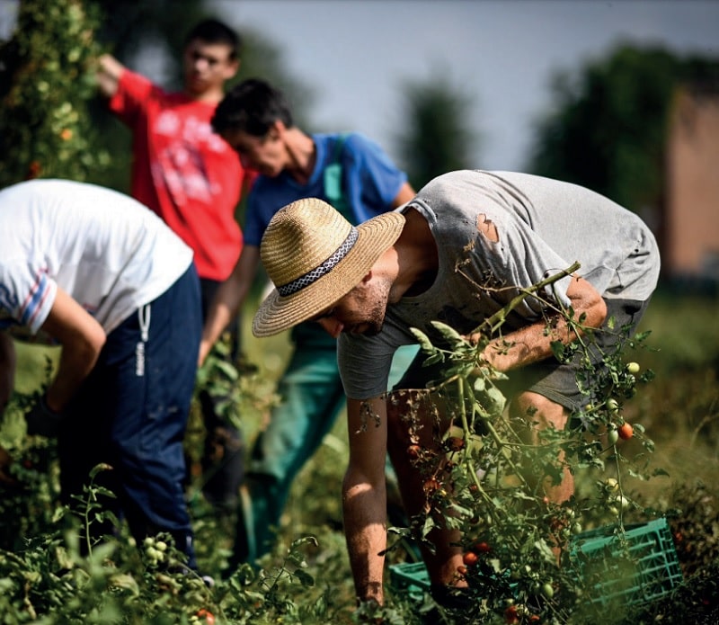 report terzo settore banca etica 2022 copertina