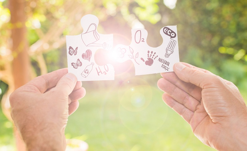 sanpaolo insurance premio