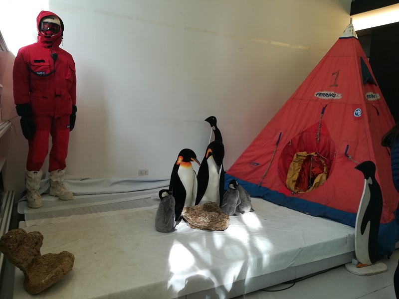 scienza insieme laboratori 2019 2