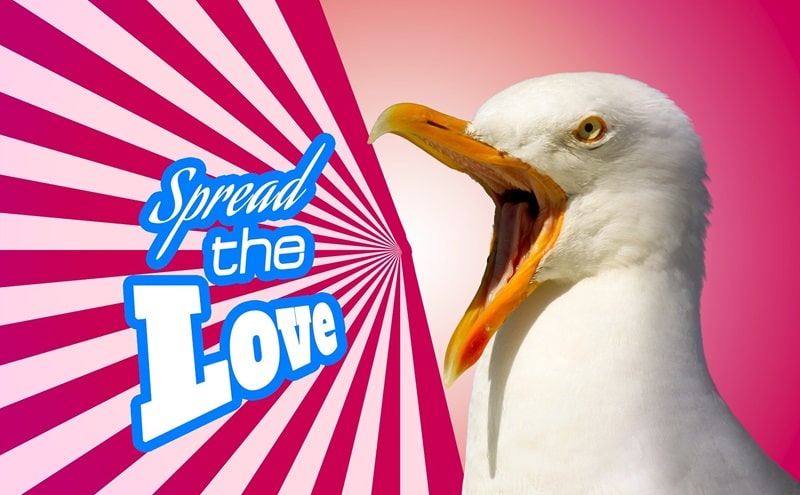 Volontariato. 8 piattaforme utili per donare il nostro tempo