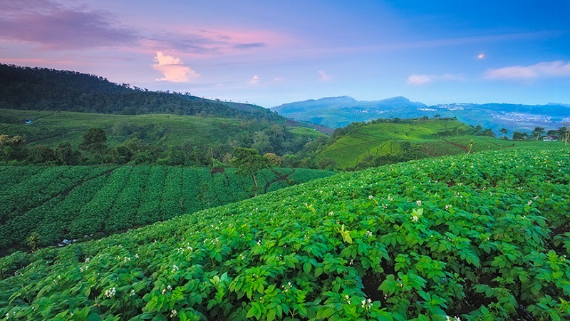 smart land confagricoltura