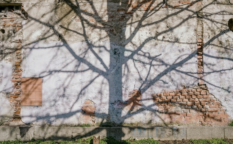 “Quando piantiamo il primo albero?”. Un'installazione racconta la rigenerazione urbana partecipata a Milano