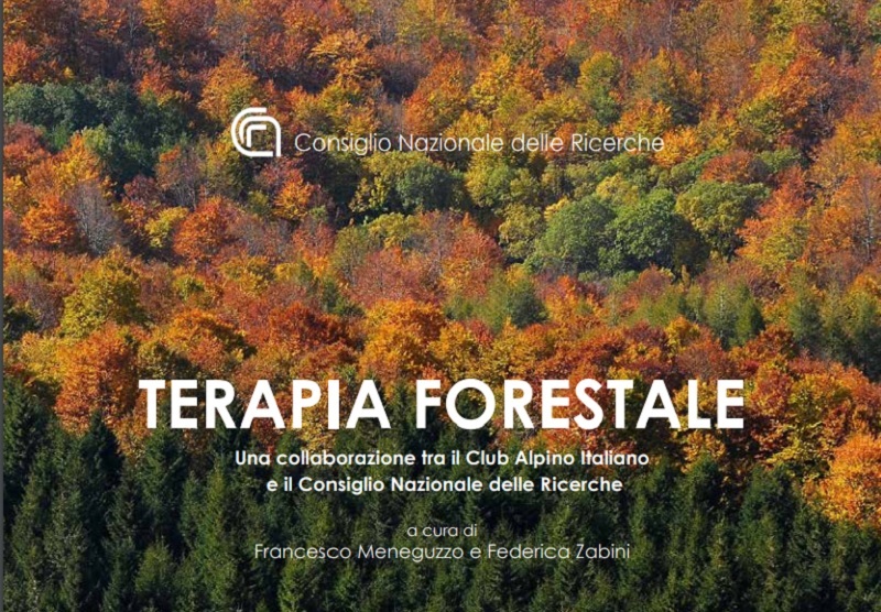 terapia forestale