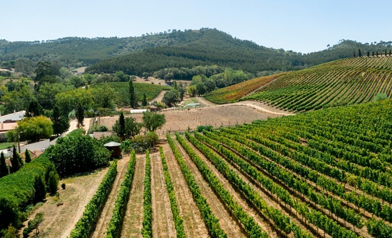 Alluvione 2023, 50 milioni di euro per i territori della Toscana