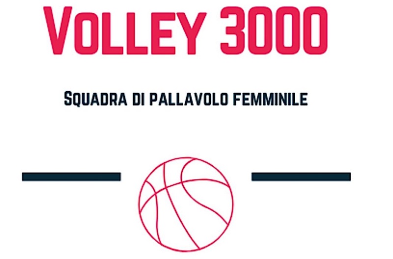 volley 3000 logo