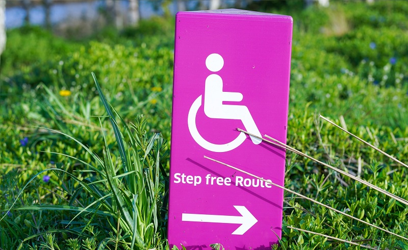 willeasy accessibilità